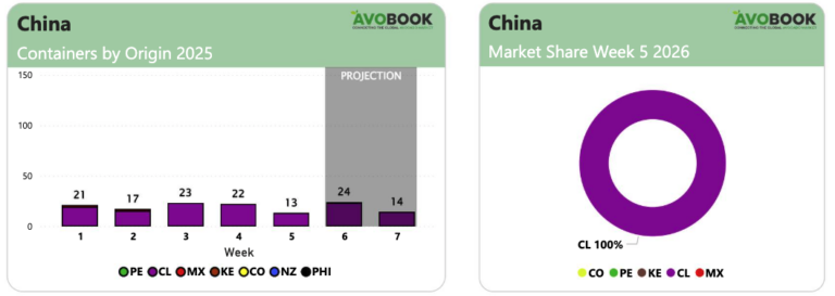 China avocado market